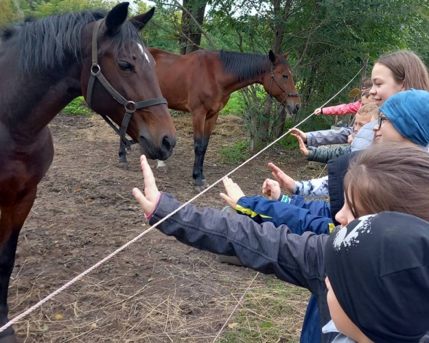 A lovardába látogattak az iskolások az állatok világnapján