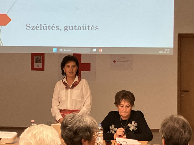 A stroke-ról és a demenciáról tartott előadást Győrsövényházon dr. Szalai Éva háziorvos