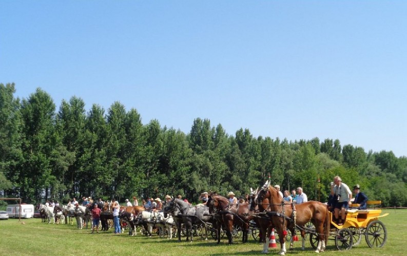 Tizennegyedszer lesz lovastalálkozó Győrsövényházon