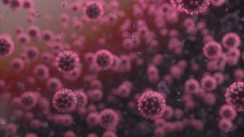 Koronavírus-helyzet: újabb fontos információk