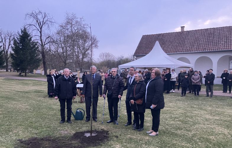 80. évforduló: hársfa a győrsövényházi kitelepítettek emlékére