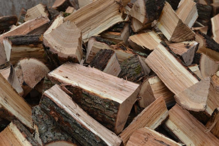 Felhívás kiegészítő tűzifatámogatásról